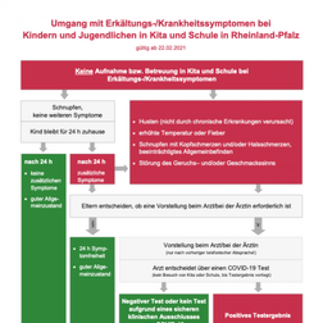 Umgang mit Erkältungs- und Krankheitssymptomen