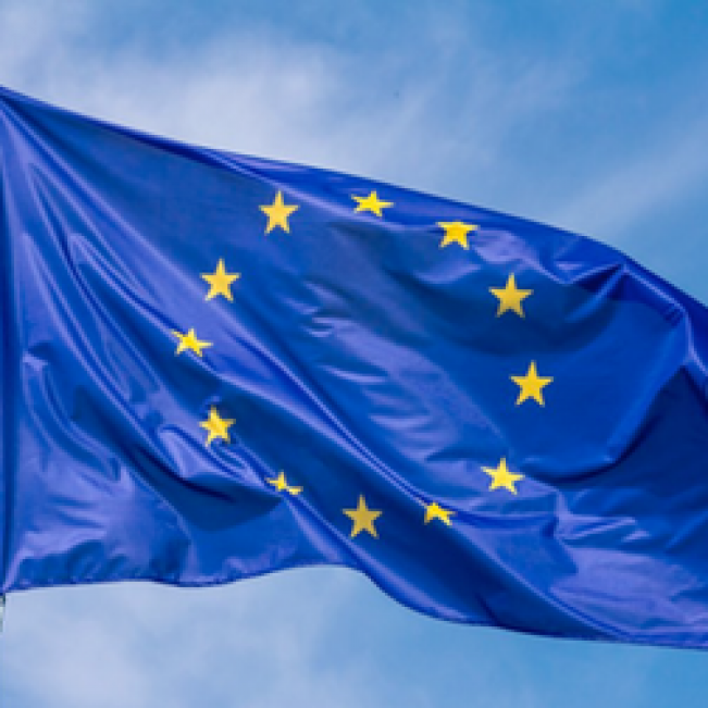Erasmus +