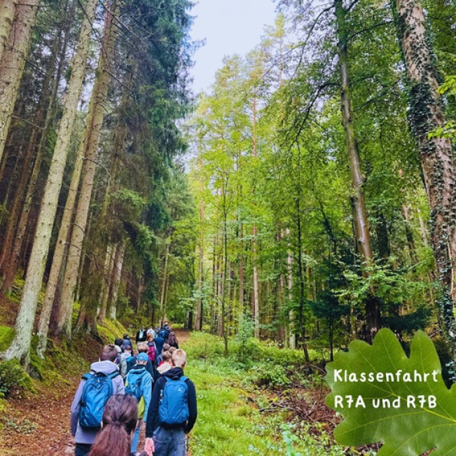 Klassenfahrt der R7A und R7B nach Altleiningen 