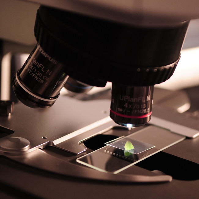 4. Technik und Naturwissenschaften