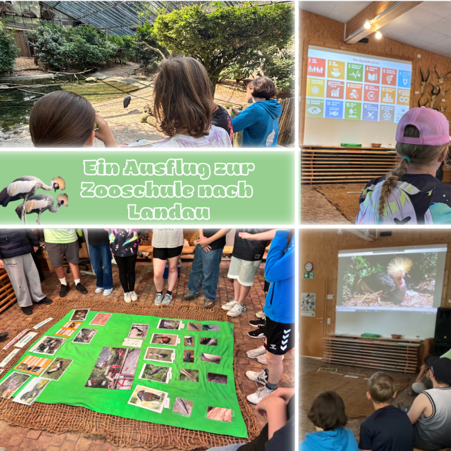 5D und 5F in der Zooschule Landau