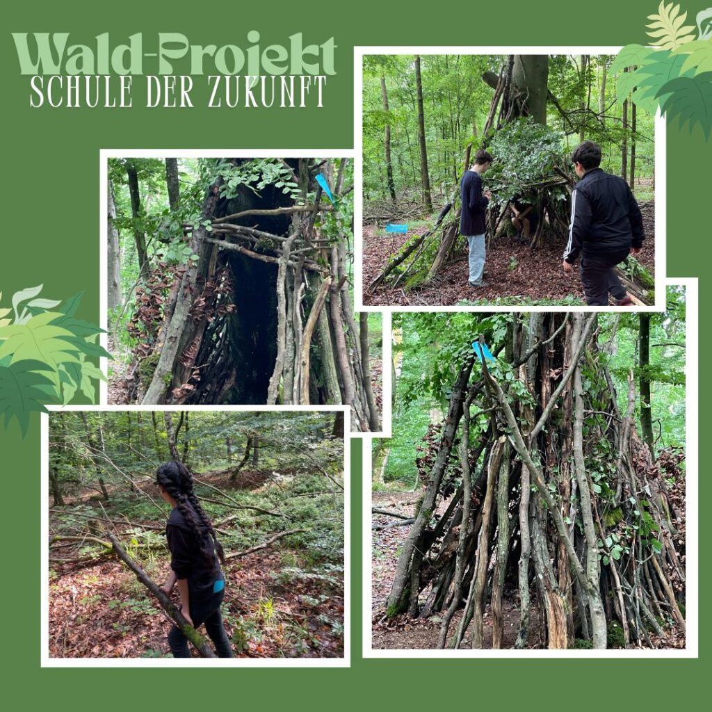 Projekt Wald: Kreativiät in der Natur