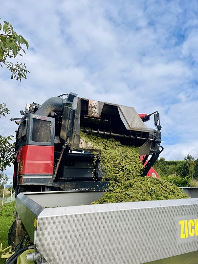 Die Pfalz hautnah erleben